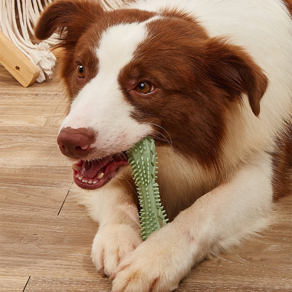 Dog Toothbrush Chew Toy - Dental Cleaning & Treat Dispensing Interactive Toy for Puppies